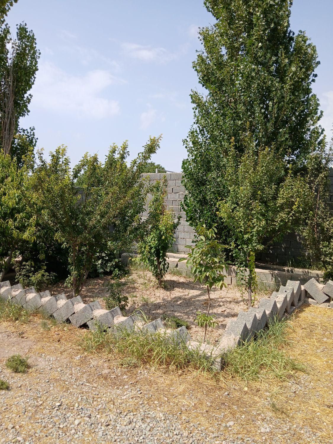 چهاردیواری.۴۰۰متری/سرسبز با درختان میوه/سنددار|فروش زمین و ملک کلنگی|تهران, شهرک ولیعصر جنوبی|دیوار