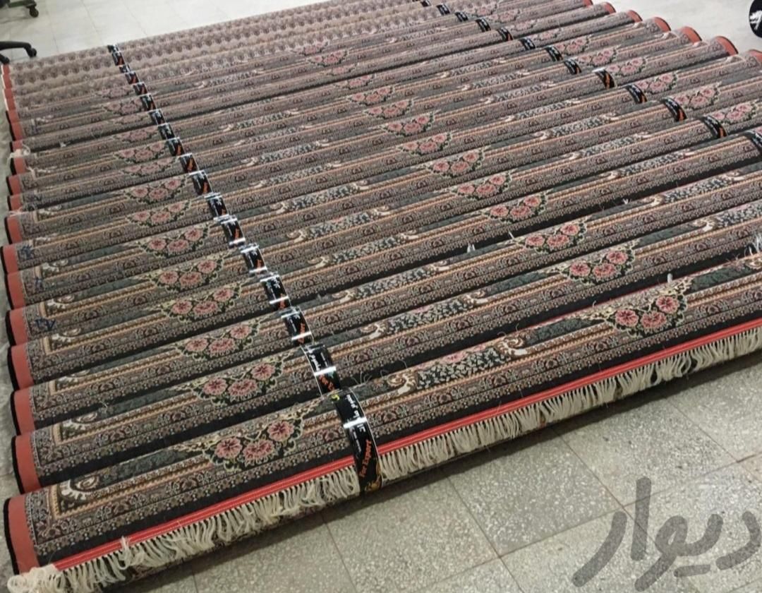 فرش تولیدی نگین مشهد۱۲و۹و۶متری طرح های مختلف|فرش|تهران, سبلان|دیوار