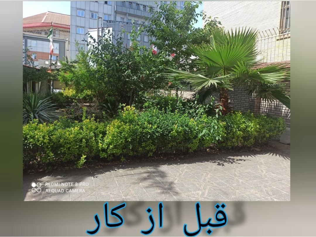 علف زدن زمین با دستگاه|خدمات باغبانی و درختکاری|رشت, دیانتی|دیوار