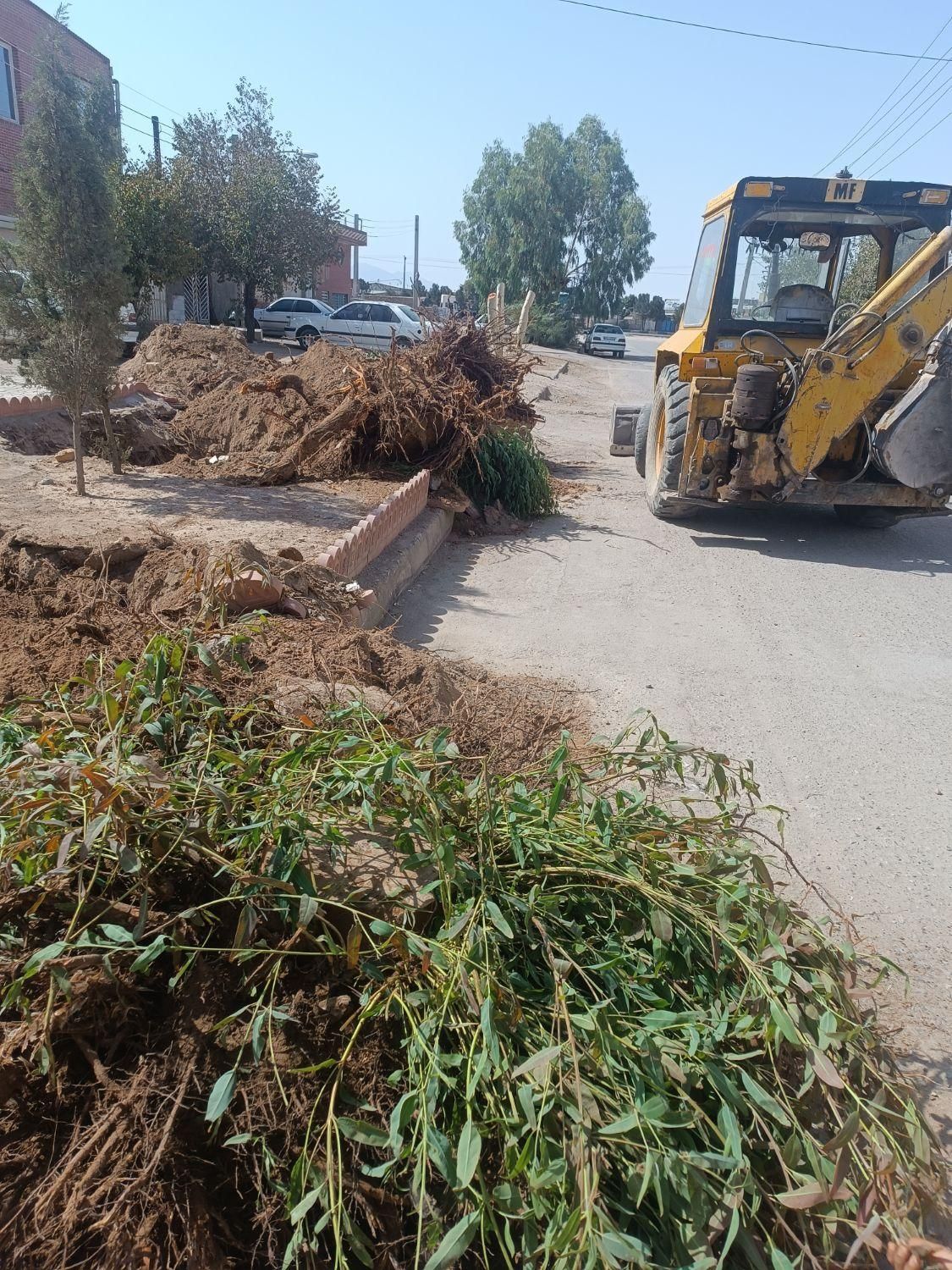 بیل بکهو .تراکتور بیل دار|خدمات پیشه و مهارت|سیرجان, |دیوار