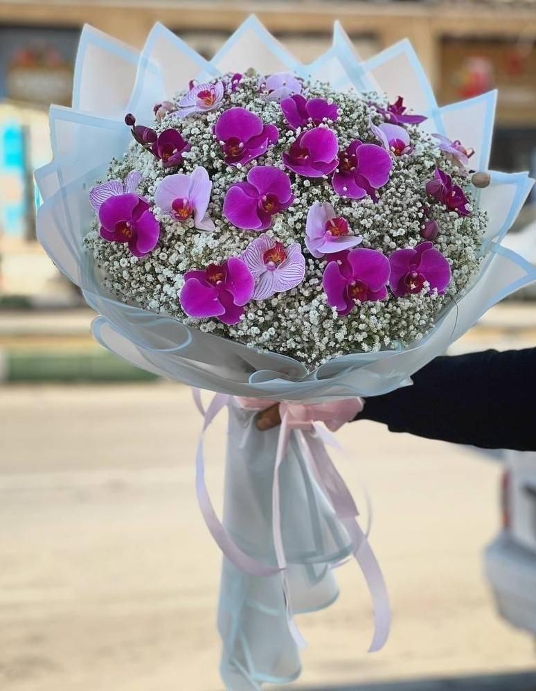 گل رزهلندی قرمزرنگی باکس دسته گل مستقیم از بازارگل|گل و گیاه طبیعی|مشهد, امیر|دیوار