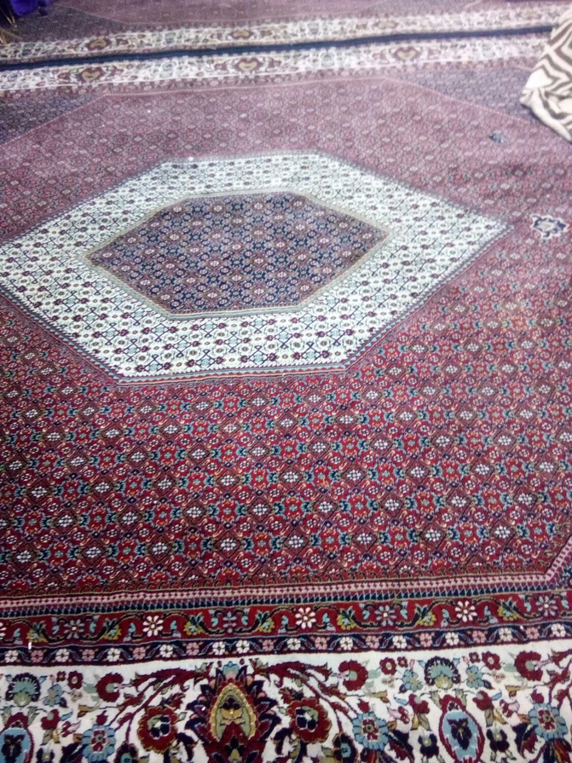 دو عدد فرش۱۲متری|فرش|گلبهار, |دیوار