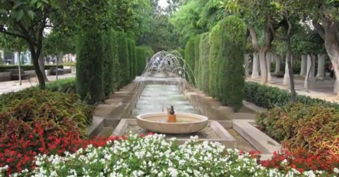 خدمات تخصصی سمپاشی باغچه گلخانه ویلا منزل کاشت گل|خدمات باغبانی و درختکاری|سنندج, |دیوار