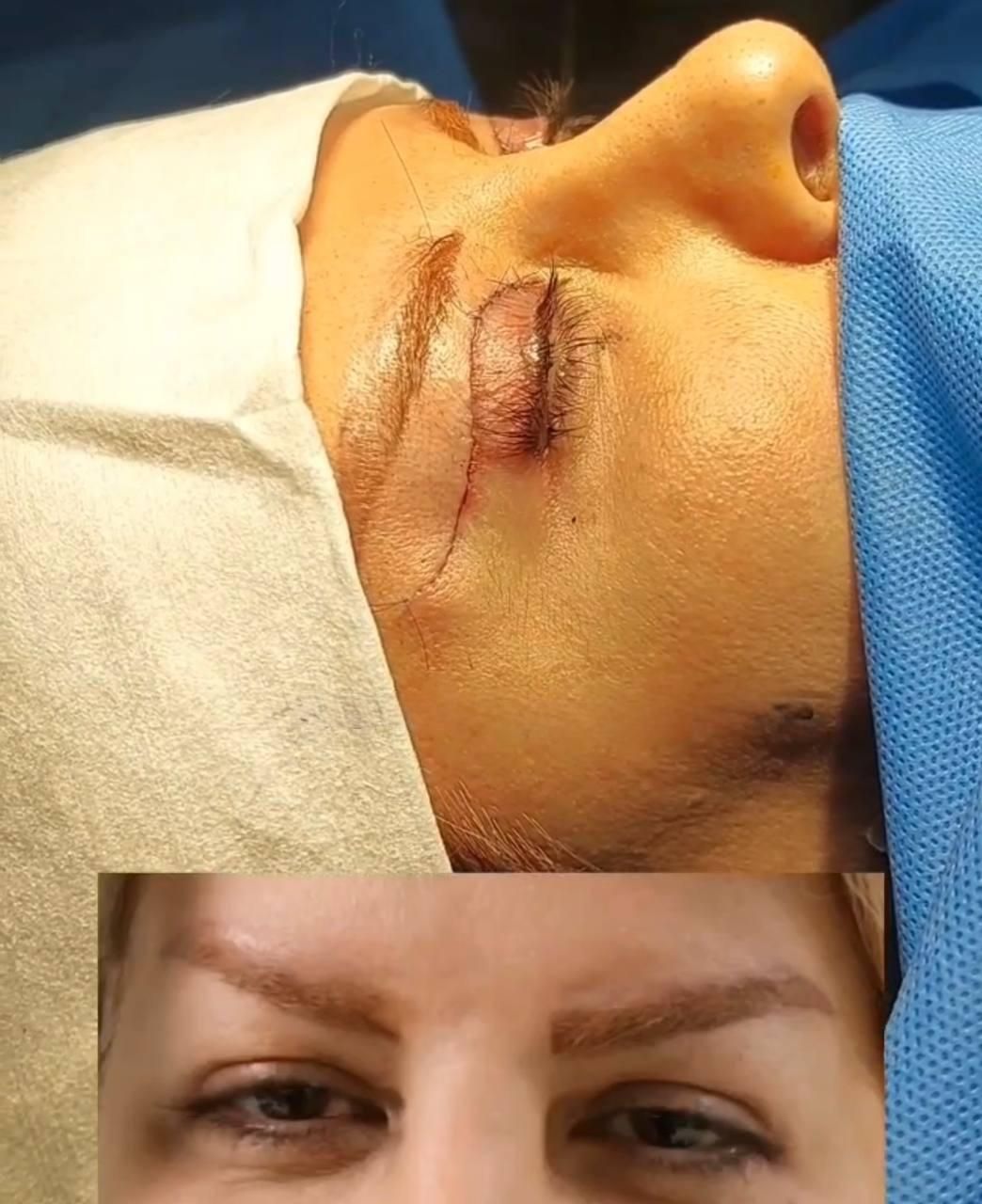 عمل پلک|خدمات آرایشگری و زیبایی|مرودشت, شهرک بسیجیان|دیوار