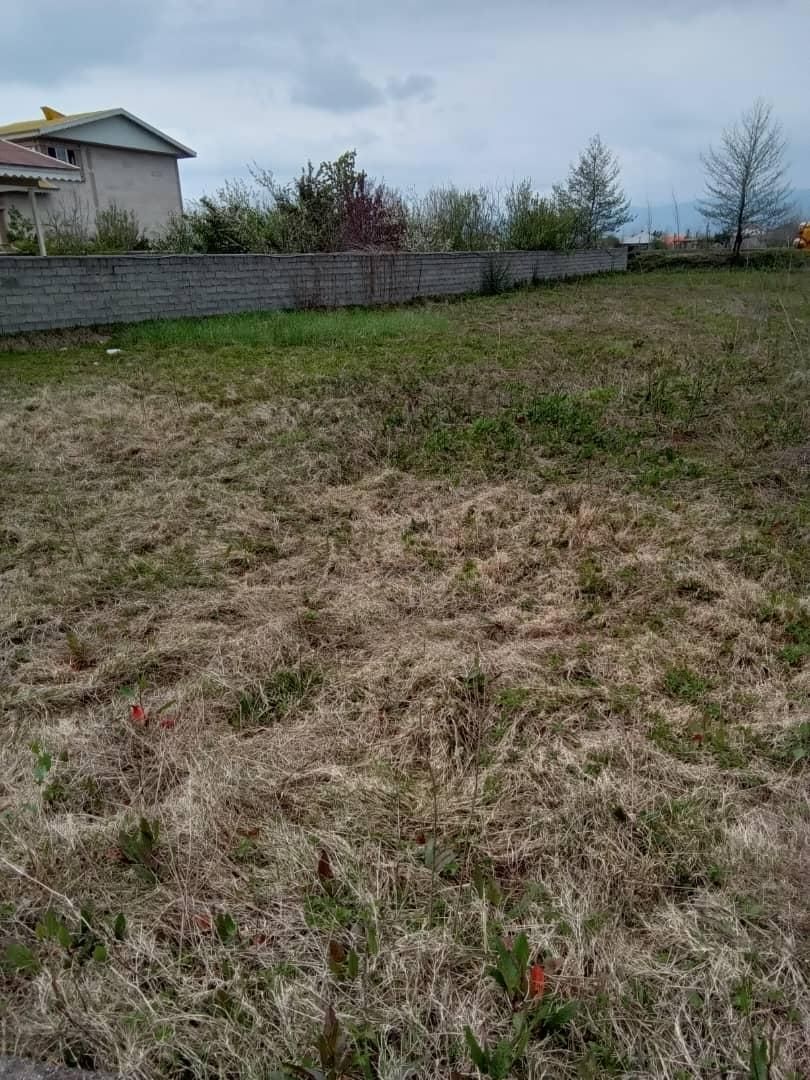 زمین ۱۰۰۰ متر۲۵۰ متر مسکونی سنگردهبنه کد(۳۵۴۳)|فروش زمین و ملک کلنگی|سنگر, |دیوار