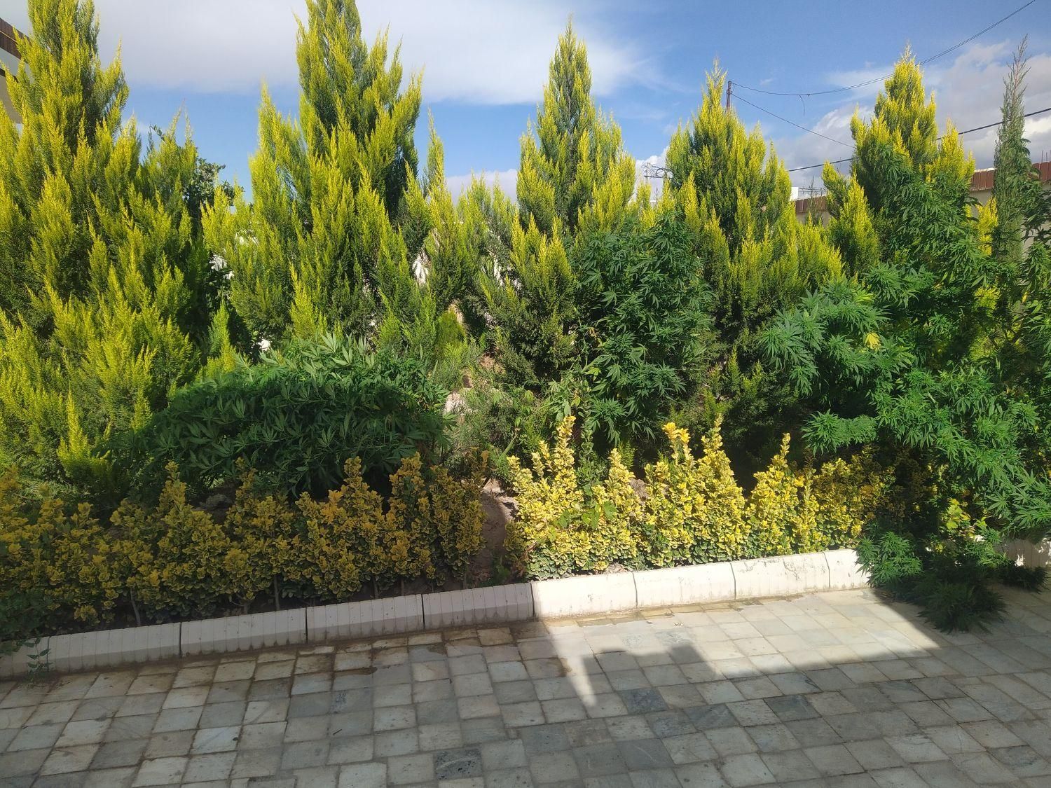 اجاره ویلا ماهان|اجارهٔ کوتاهمدت ویلا و باغ|ماهان, |دیوار