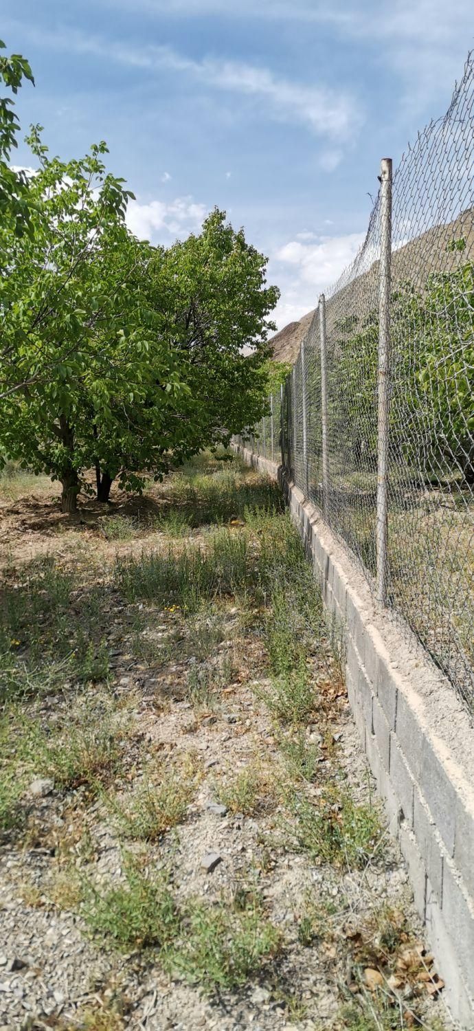 باغ 1450متری با چشمه|فروش خانه و ویلا|گرمسار, |دیوار