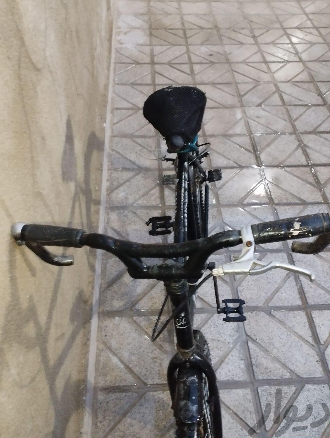 دوچرخه لاستیک ها نونو|دوچرخه، اسکیت، اسکوتر|مشهد, بلوار توس|دیوار