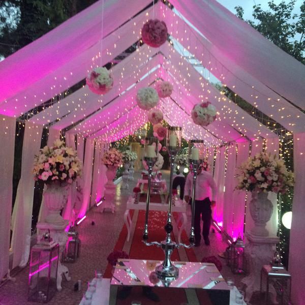 خدمات مجالس عقد و عروسی|خدمات پذیرایی، مراسم|تهران, تهرانپارس غربی|دیوار