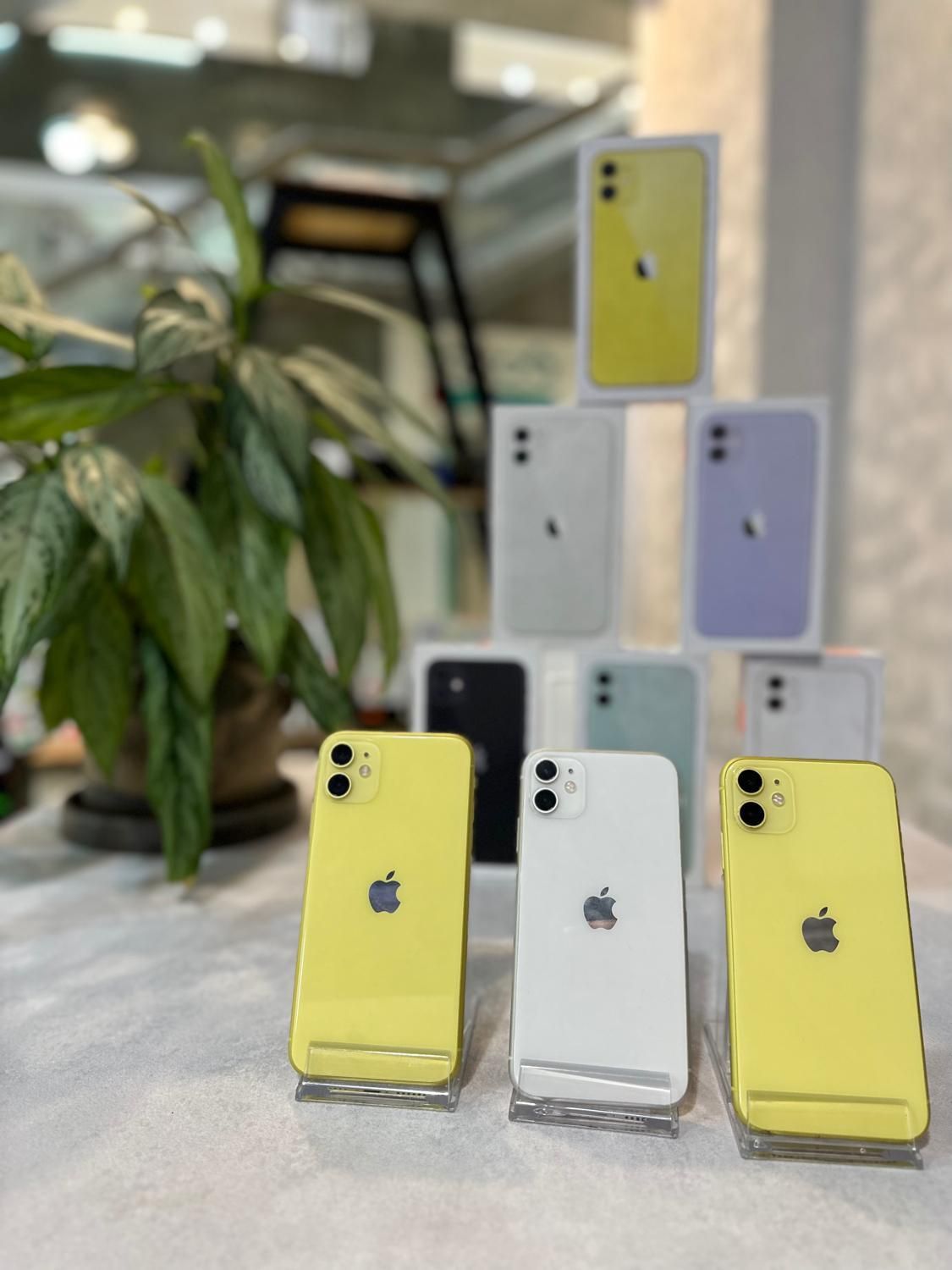 Iphone 11 128 آیفون ۱۱ ۱۲۸|موبایل|تهران, ونک|دیوار