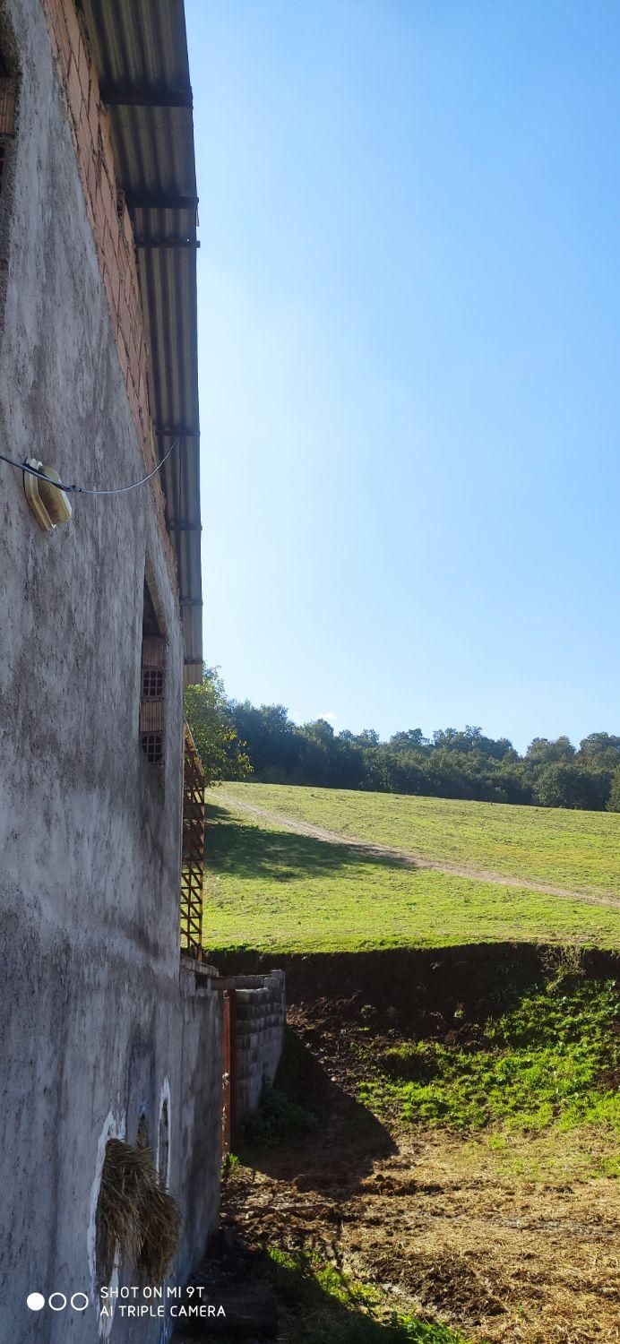 زمین وصل به جنگل و روستا کردآباد|فروش زمین و ملک کلنگی|علی‌آباد کتول, |دیوار