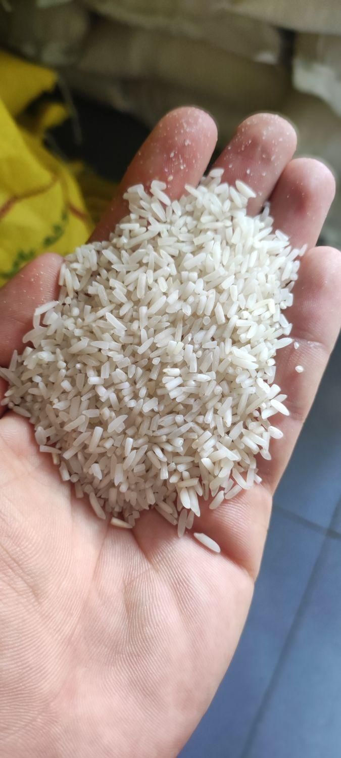 سرلاشه هاشمی درجه یک/گیلان|خوردنی و آشامیدنی|کرج, گوهردشت|دیوار