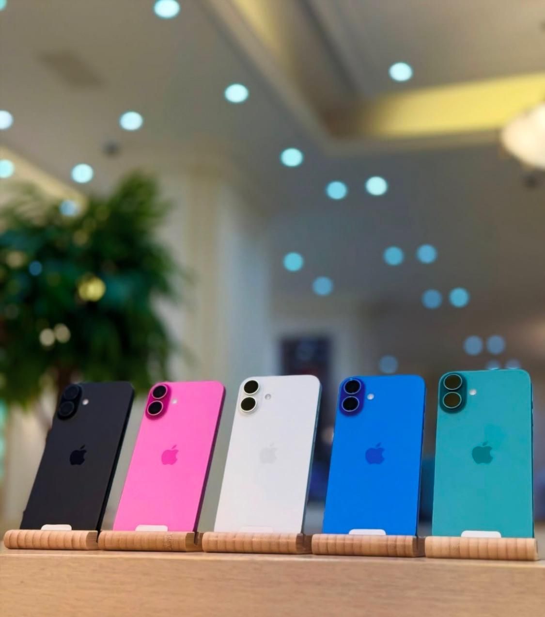 ایفون ۱۶ نرمال دوسیم -iPhone 16 128g Ch notactive|موبایل|کرج, جهان‌شهر|دیوار