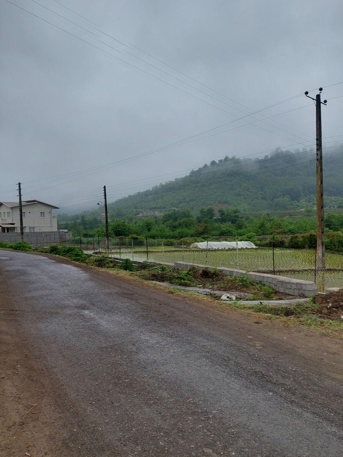 فروش زمین مسکونی سند دار در لیسار|فروش زمین و ملک کلنگی|تالش, هشتپر|دیوار