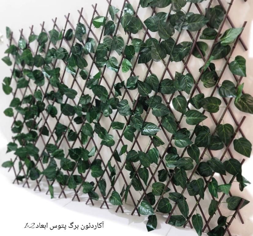 ریسه اکاردئونی پتوس انگوری شمعدونی برای تزئین تراس|مصالح و تجهیزات ساختمان|تهران, هاشم‌آباد|دیوار