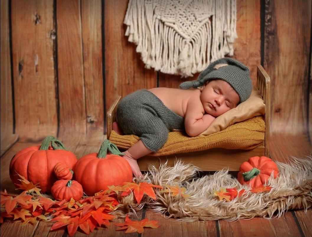 آتلیه عکاسی کودک و بارداری|خدمات پذیرایی، مراسم|فردیس, منظریه|دیوار