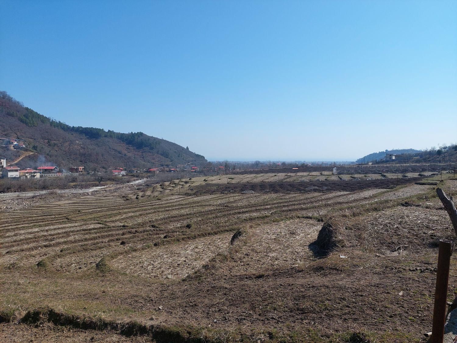 فروش زمین شالیزار ۶۰۰۰ متری|فروش زمین و ملک کلنگی|لیسار, |دیوار