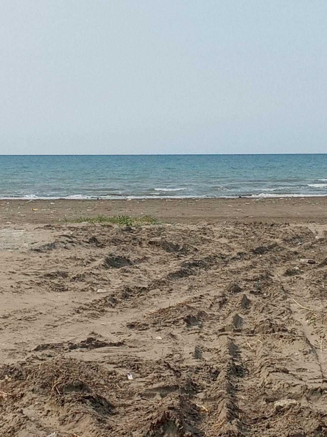 سوییت تکخواب شخصی(ایزدشهر)نور|اجارهٔ کوتاهمدت آپارتمان و سوئیت|نور, |دیوار