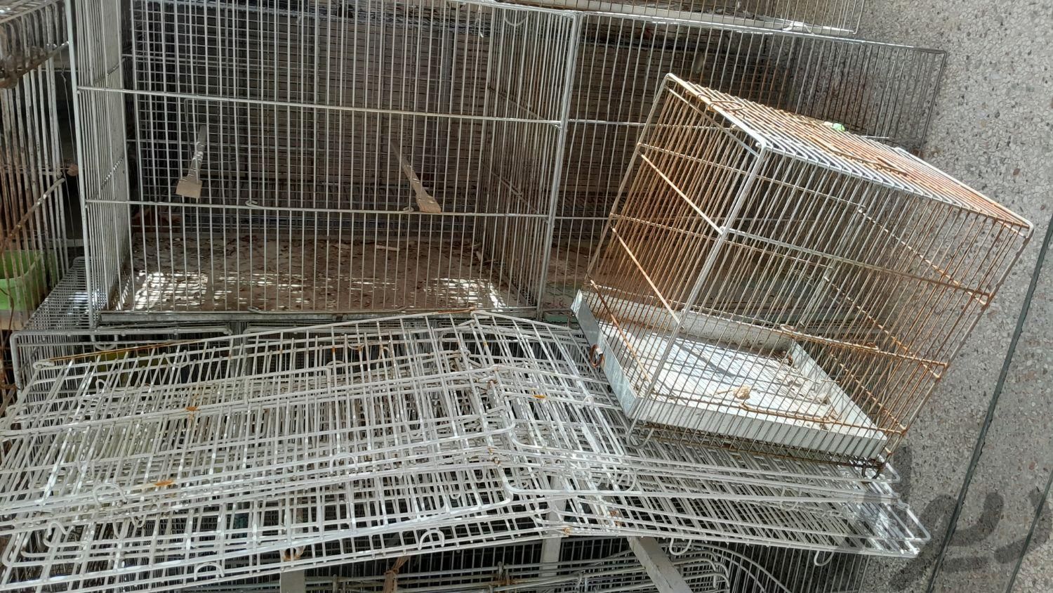 قفسه پرنده در حد نو|لوازم جانبی مربوط به حیوانات|تهران, باغ فیض|دیوار