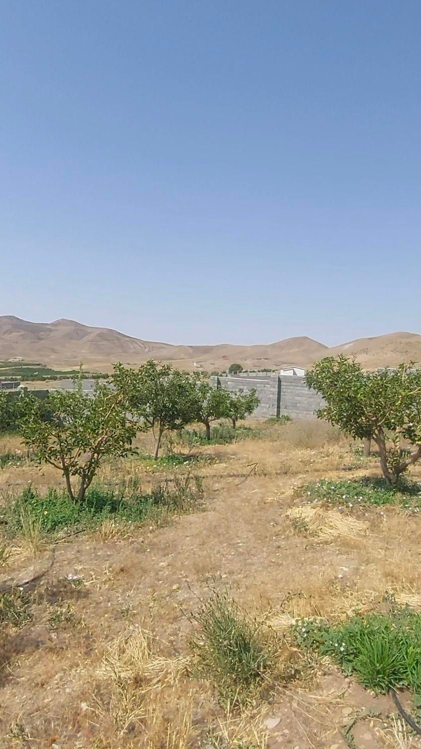 فروش ۳۲۰متر باغچه چهاردیواری شده گرمابسرد دماوند|فروش زمین و ملک کلنگی|تهران, تهرانپارس شرقی|دیوار