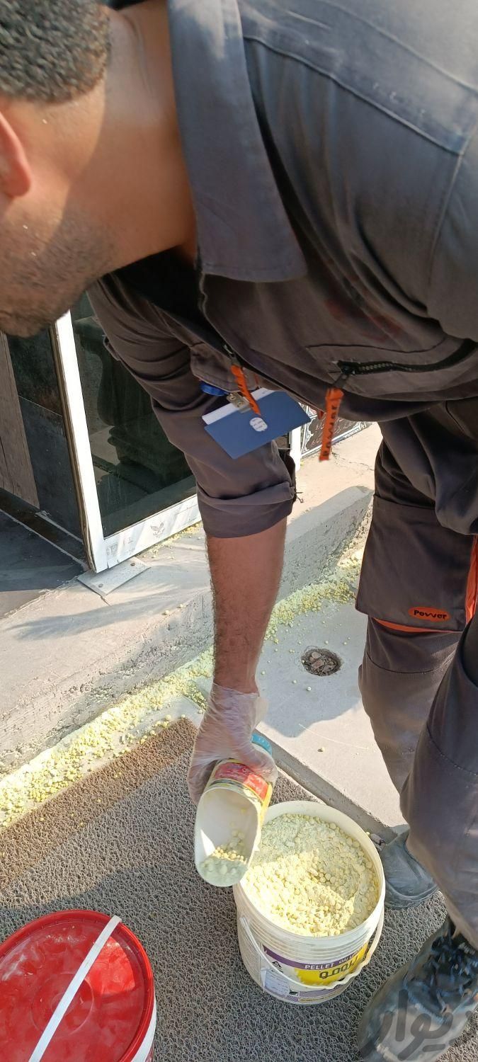 شرکت سمپاشی و دفع آفات خانگی و صنعتی سم پاشی|خدمات نظافت|شیراز, تاچارا|دیوار