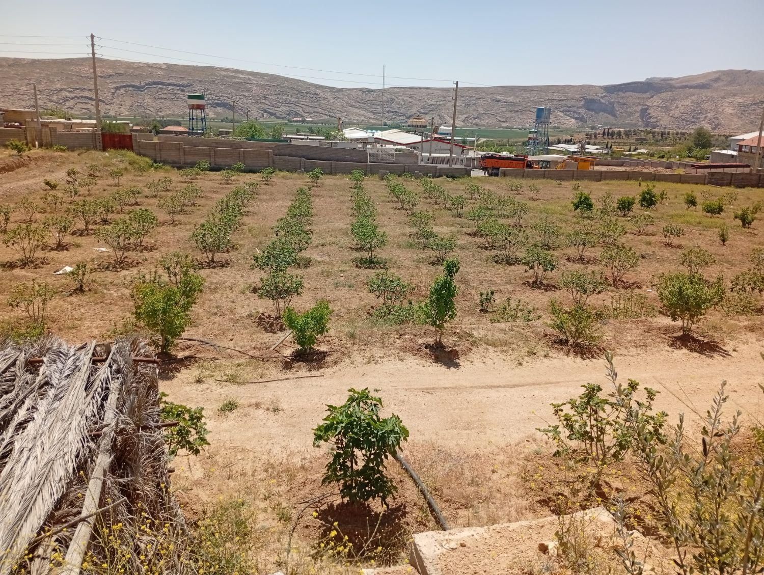 فروش زمین با مجوز گلخانه در شهر سیدان|فروش دفتر صنعتی، کشاورزی، تجاری|مرودشت, تخت جمشید|دیوار