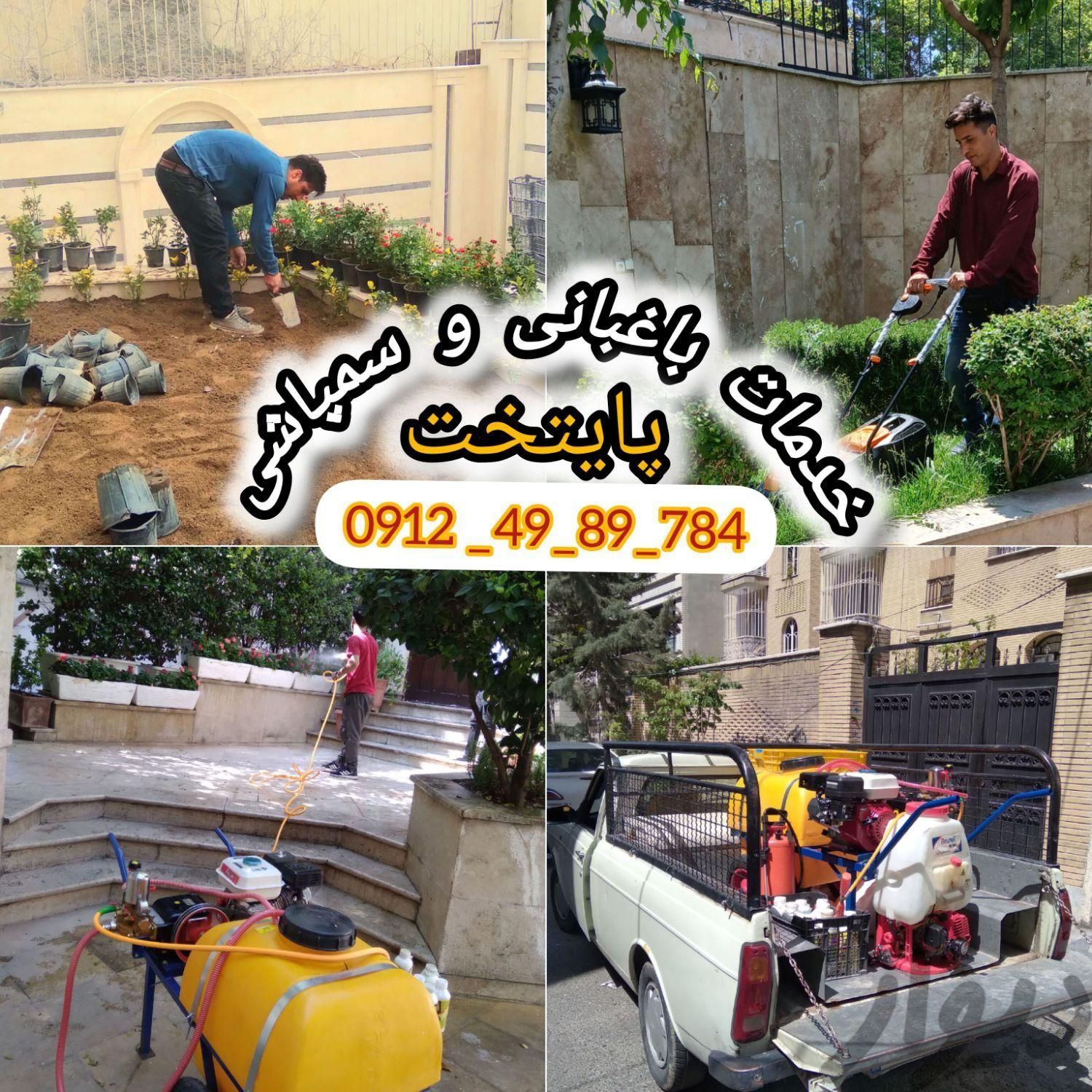 باغبانی و سمپاشی پایتخت 100٪تضمینی در تمام تهران|خدمات باغبانی و درختکاری|تهران, سیدخندان|دیوار