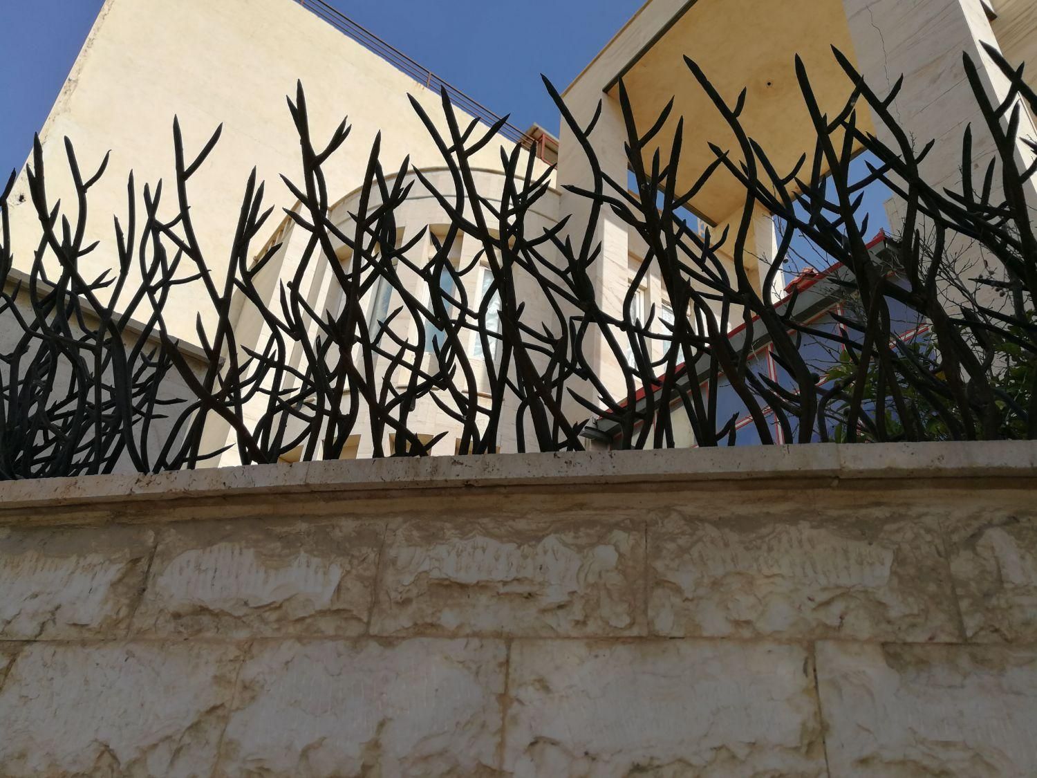 حفاظ شاخ گوزنی و گلنرده و ...|خدمات پیشه و مهارت|بوشهر, |دیوار