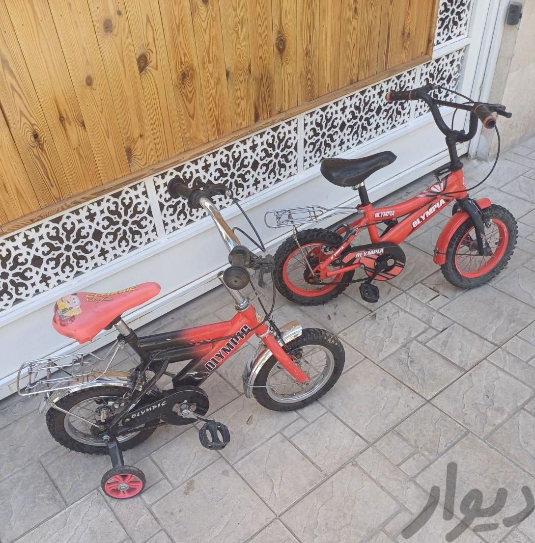 دو عدد دوچرخه ۱۲ المپیک و المپیا پسرانه دخترانه|دوچرخه، اسکیت، اسکوتر|تهران, مسگرآباد|دیوار