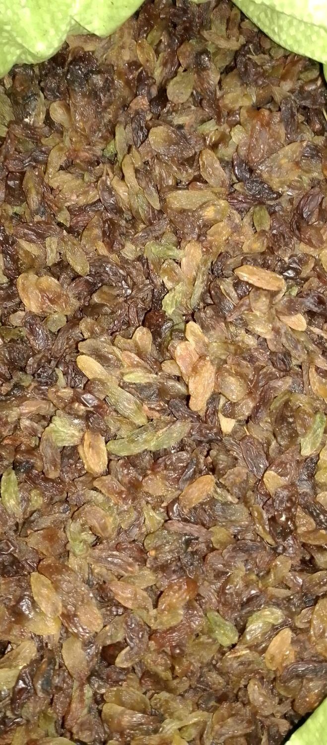 کشمش خراسان|خوردنی و آشامیدنی|رشت, پاستوریزه|دیوار