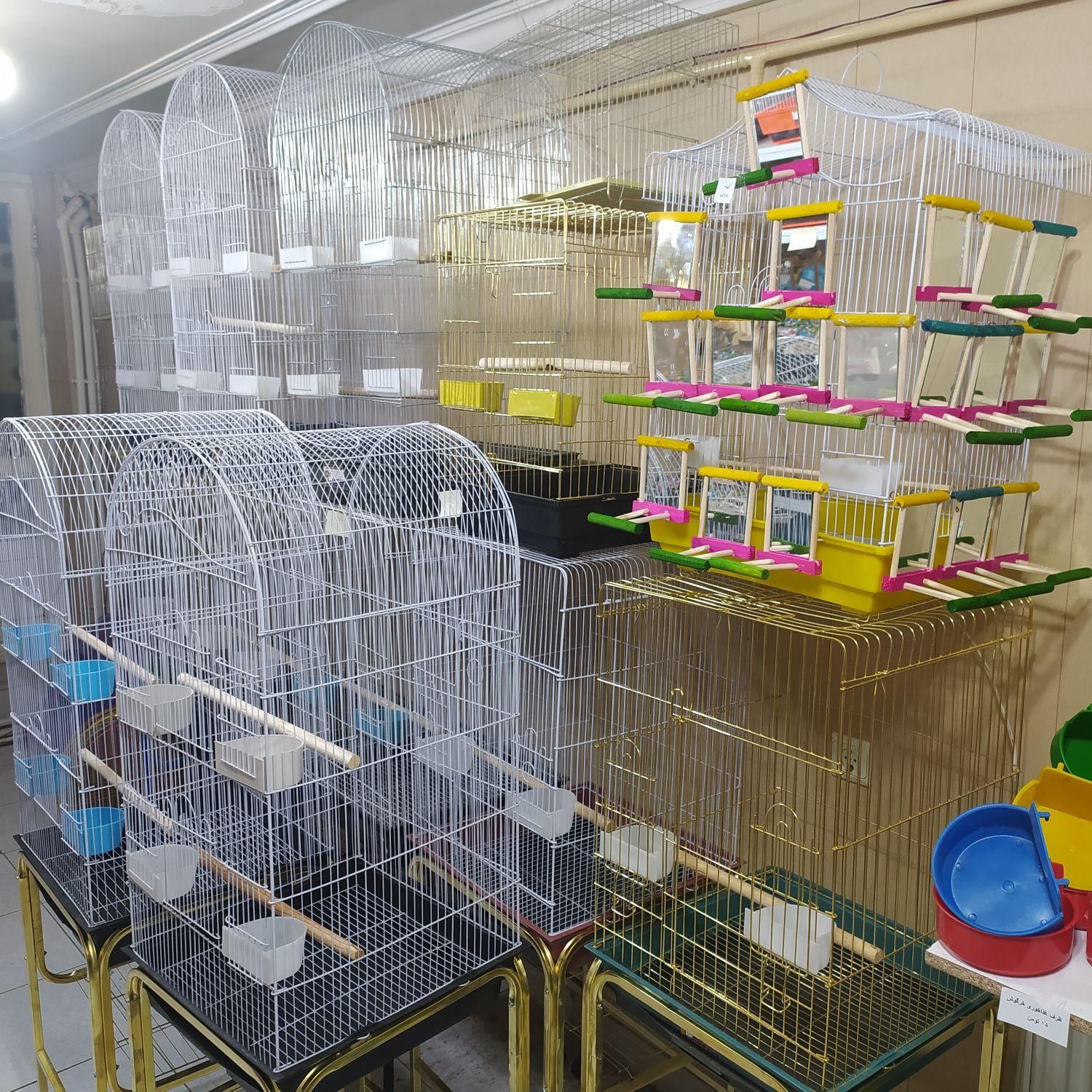 دنیای قفس و لوازم جانبی پرندگان زینتی|لوازم جانبی حیوانات|تبریز, |دیوار