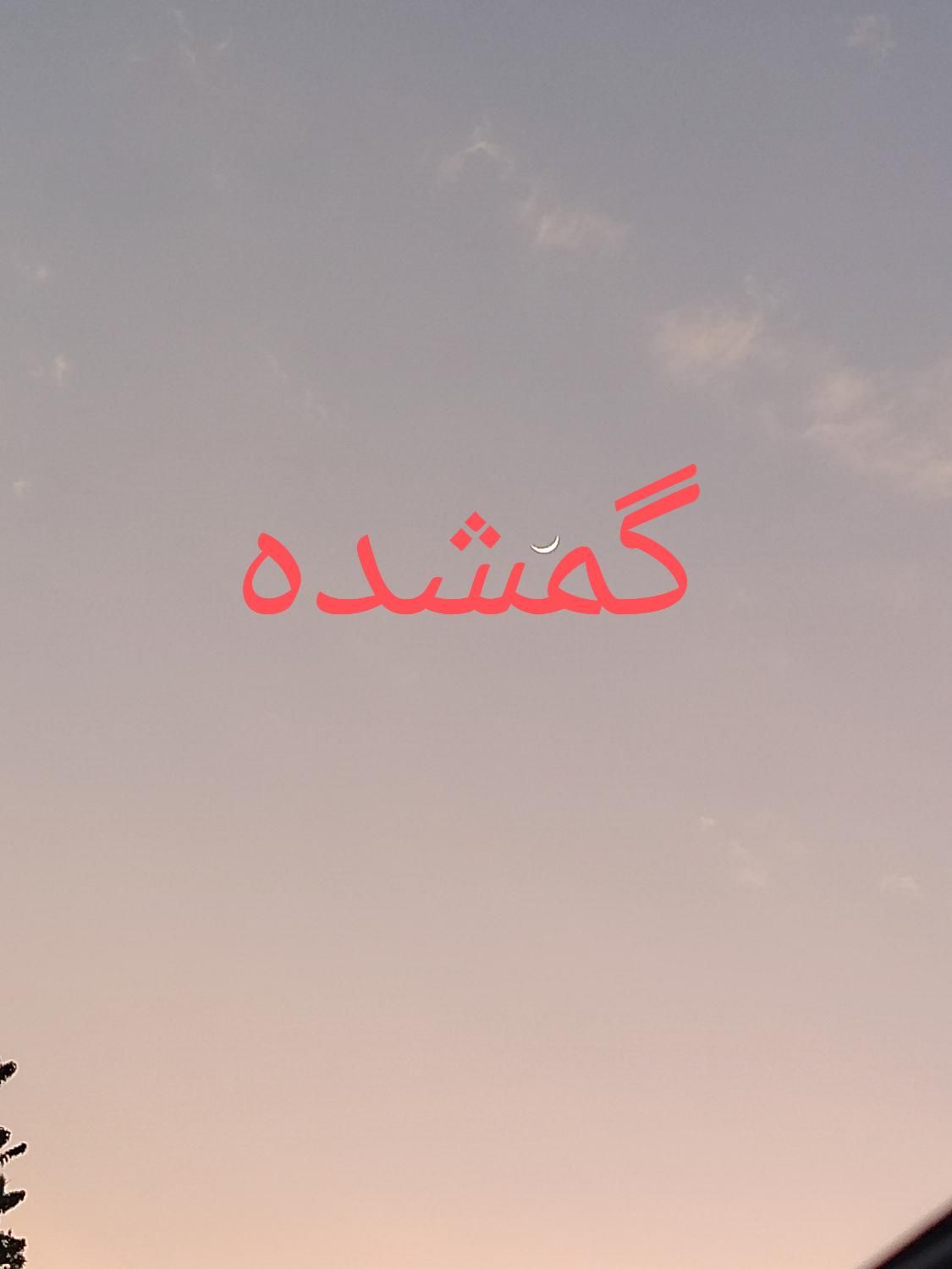 گمشده کیف دستی و کیف پول با مدارک|اشیا|مراغه, |دیوار