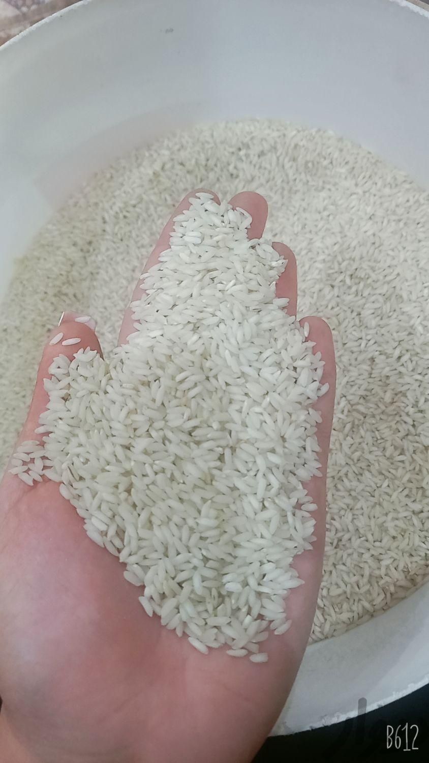 برنج تیلکی |خدمات پذیرایی/مراسم|شوشتر, |دیوار