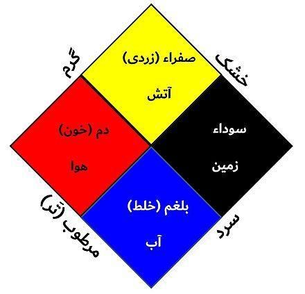آموزش طب سنتی|خدمات آموزشی|شاهدشهر, |دیوار