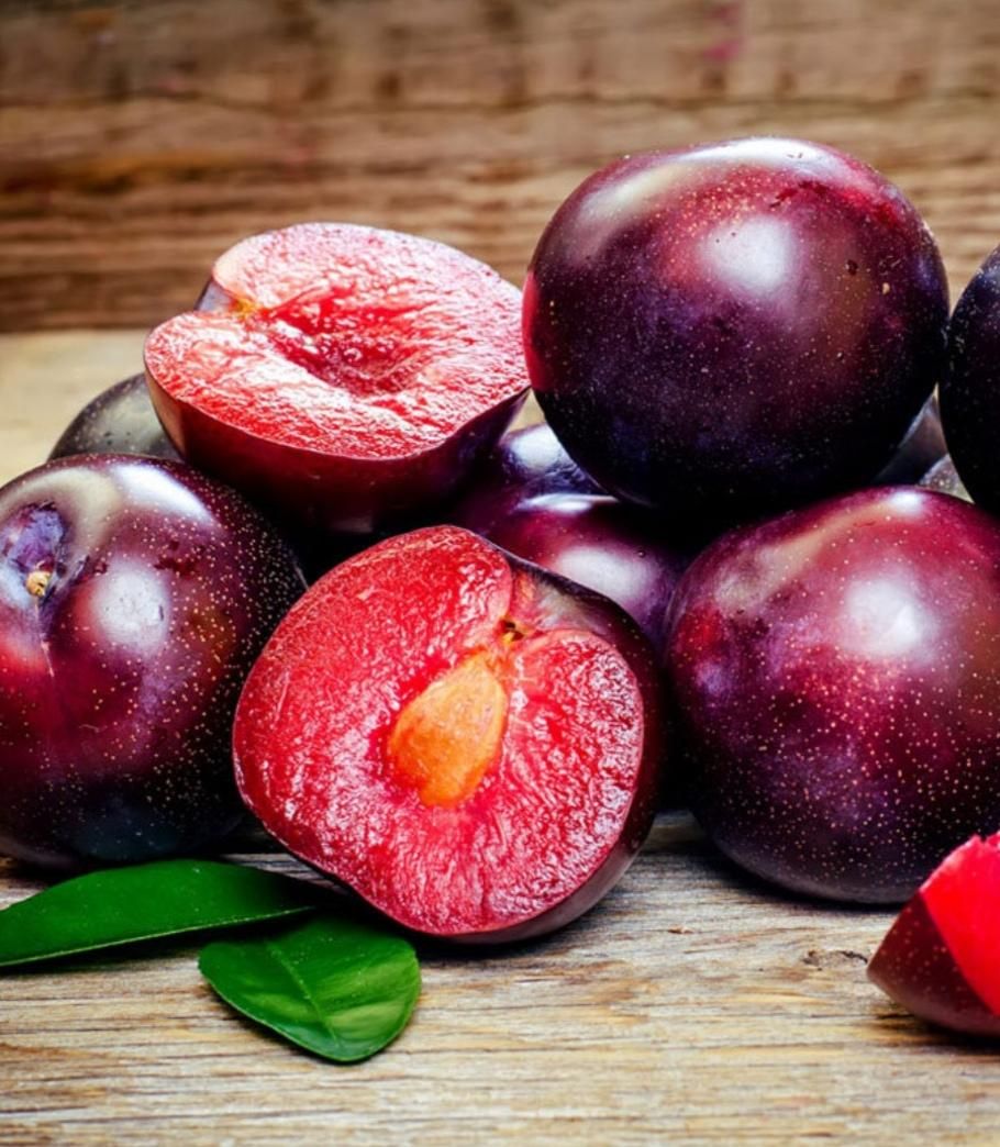 کلیه نهال های روز دنیا گلدانی سیب خونی الو‌خونی و.|خدمات باغبانی و درختکاری|اصفهان, پرتمان|دیوار