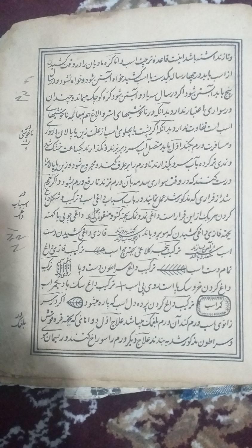 کتاب تاریخی‌در زمینه اسب|کتاب و مجله تاریخی|اردبیل, |دیوار