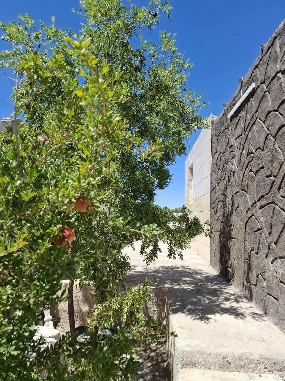 تصویر 5