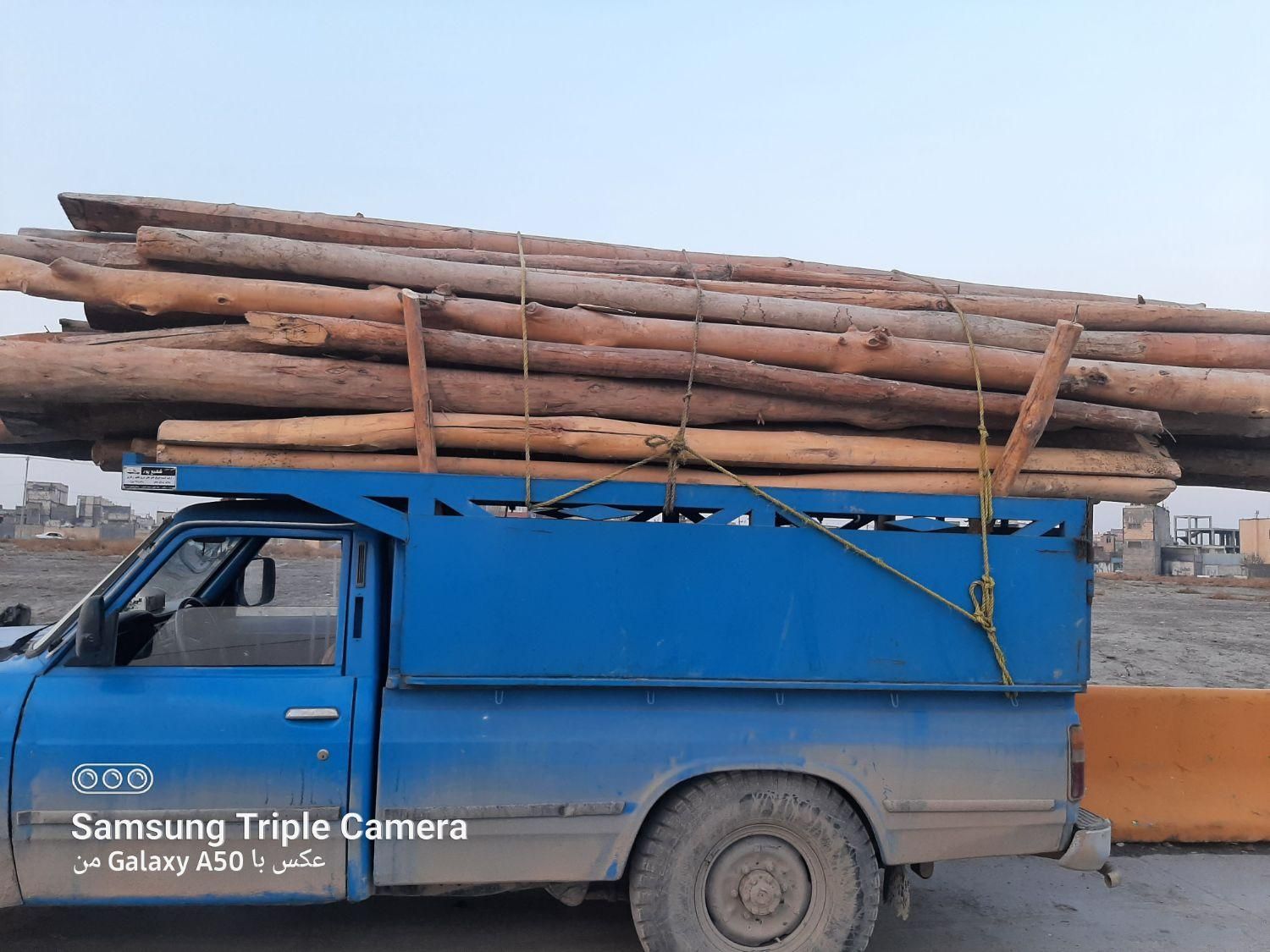 فروش خرید چوب درخت چوب سقفی تخته|عمدهفروشی|مشهد, نوید|دیوار