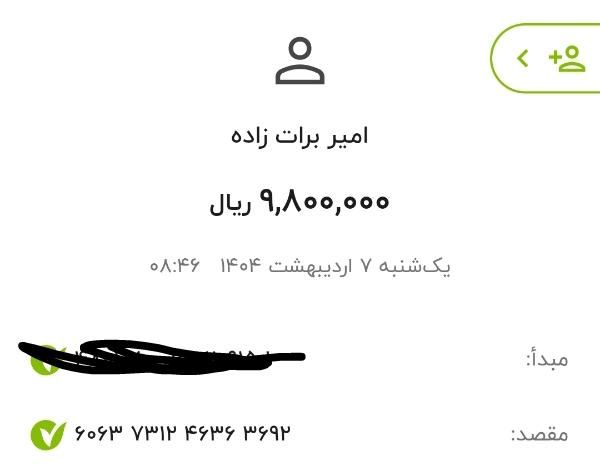 امیر برات زاده|فعالیت داوطلبانه|بم, |دیوار
