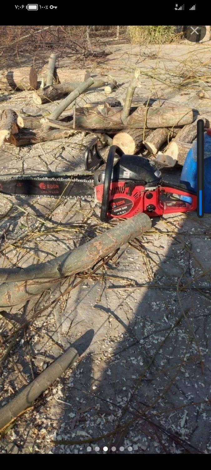 خدمات باغبانی وسمپاشی|خدمات باغبانی و درختکاری|نیشابور, |دیوار