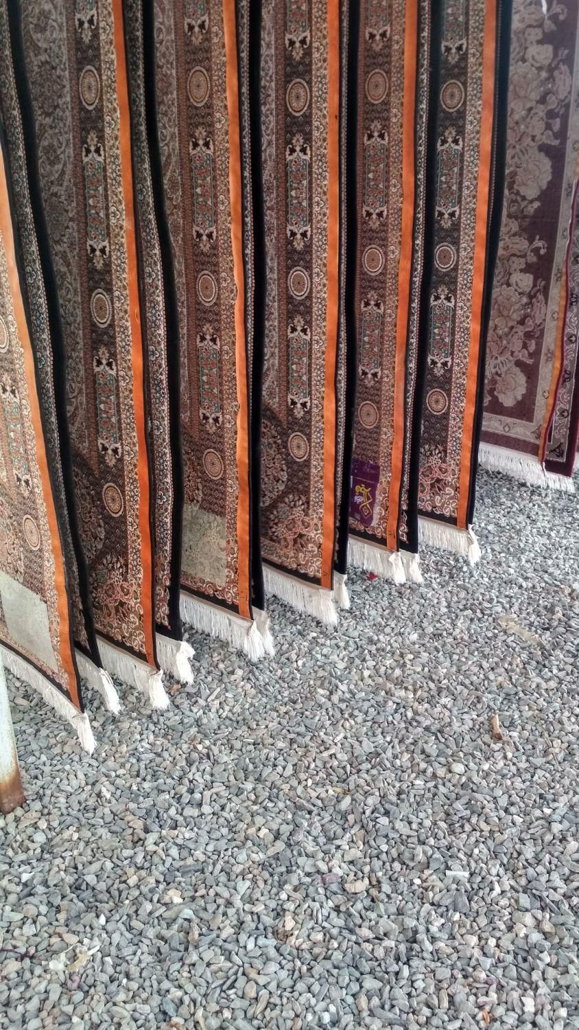 قالیشویی گلبرگ|خدمات نظافت|زاهدان, |دیوار