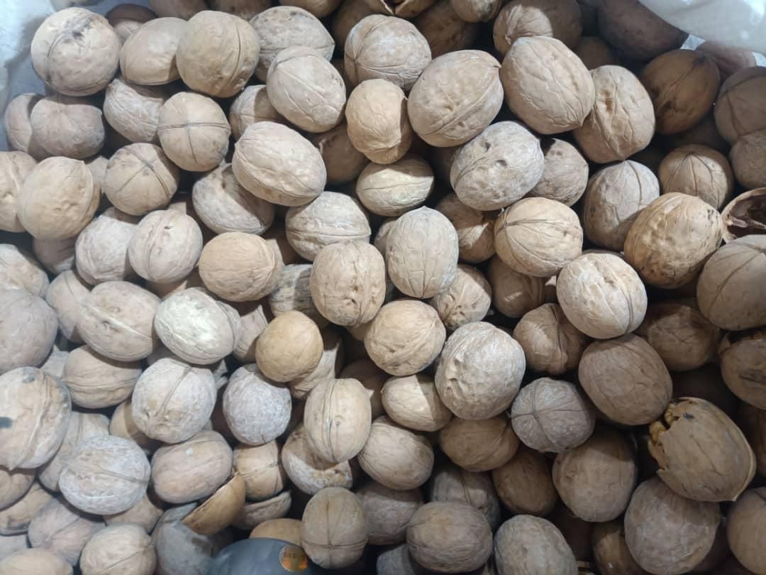 پخش عمده انواع گردو و بادام هندی با مجوز گمرکی|خوردنی و آشامیدنی|اصفهان, مفتح|دیوار