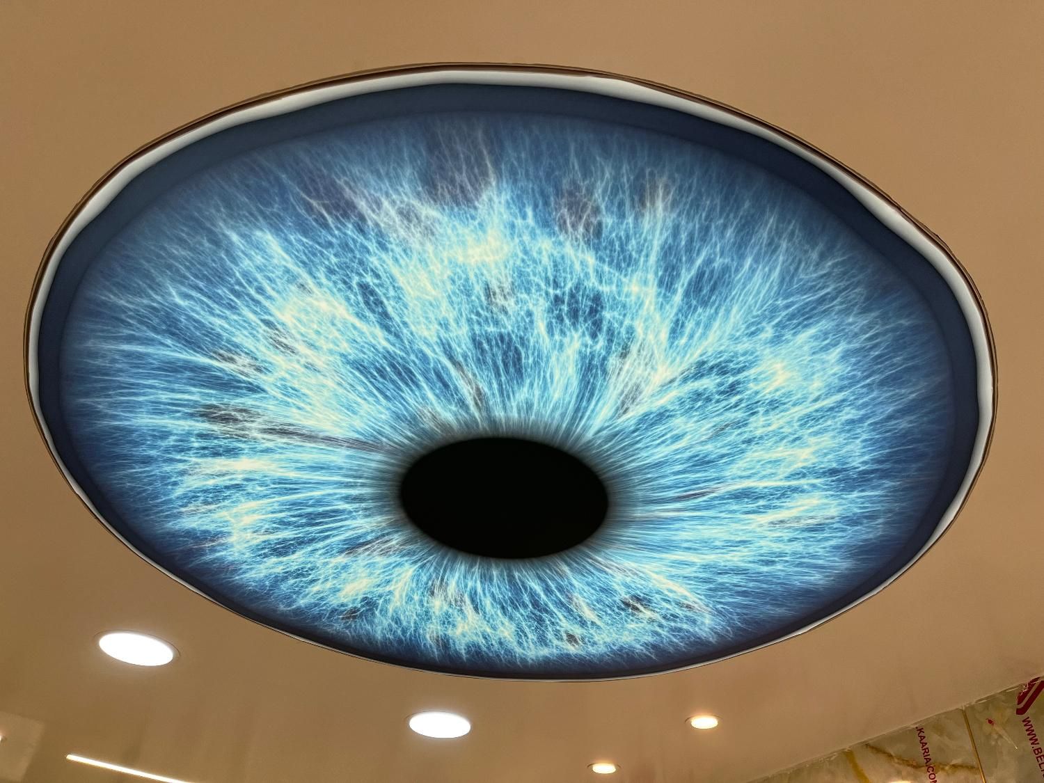 به زیبایی سقف ارزوهایتان(سقف کاذب کشسان)|مصالح و تجهیزات ساختمان|کرج, عظیمیه|دیوار