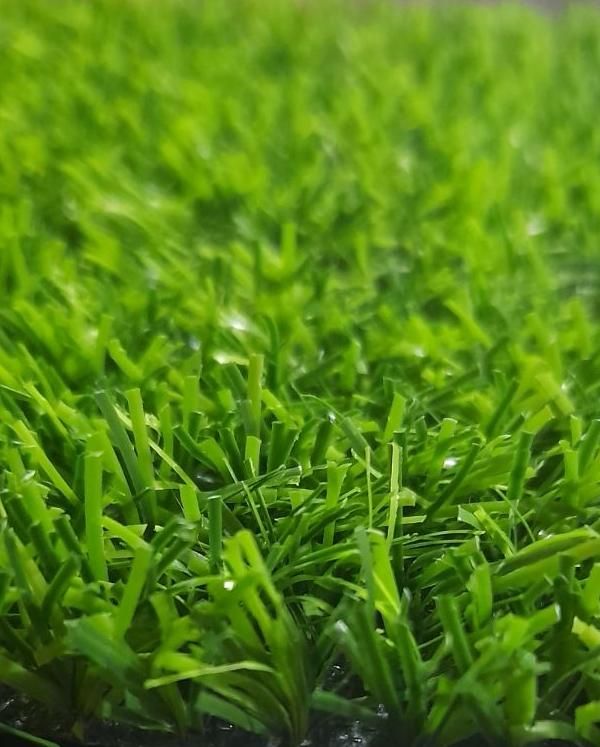 چمن مصنوعی تزئینی و ورزشی|خدمات باغبانی و درختکاری|رشت, بلوار گیلان|دیوار