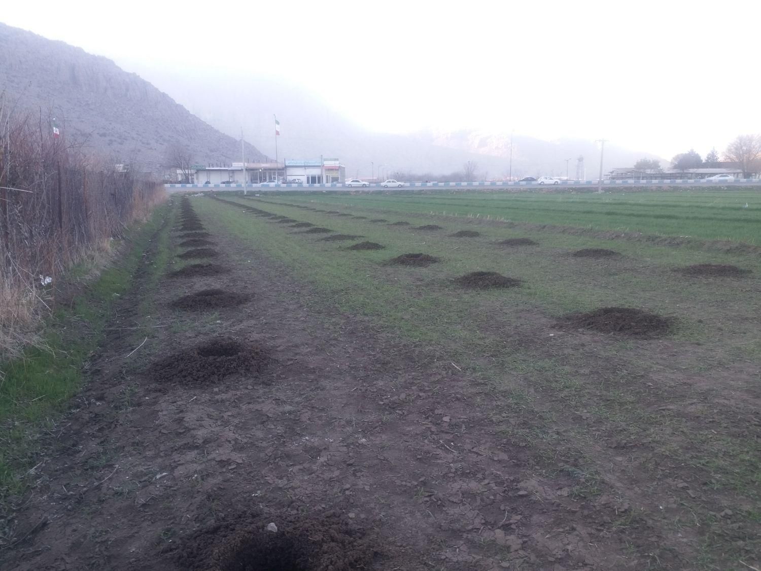 خدمات باغبانی کریمی.علفزنی،سمپاشی.|خدمات باغبانی و درختکاری|کرمانشاه, |دیوار