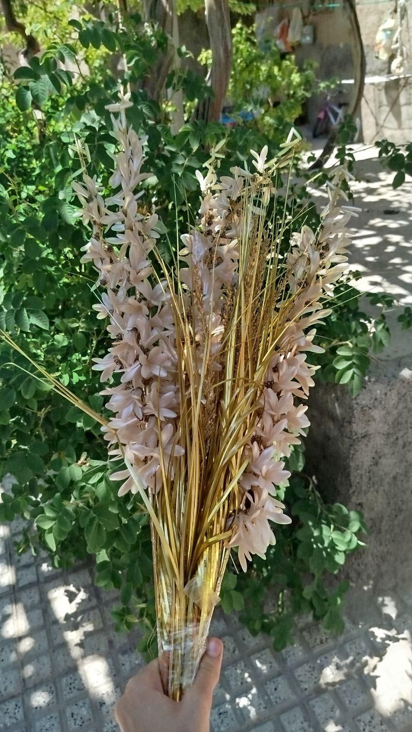 تعدادی لوازم خانگی|گل مصنوعی|بجنورد, |دیوار