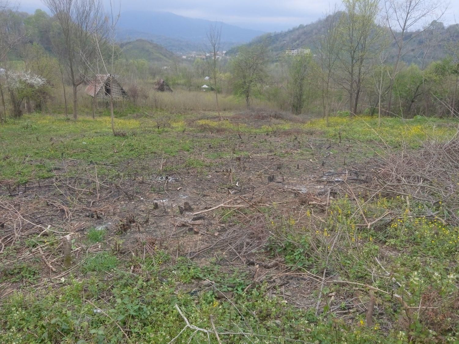 فروش/تهاتر زمین 1995متر بر اصلی روستای دره جیر|فروش زمین و ملک کلنگی|لاهیجان, آهندان|دیوار