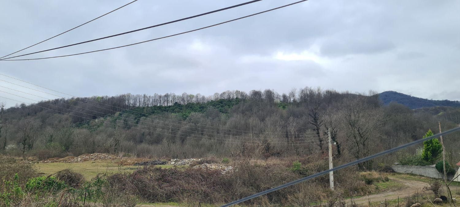 ۳۵۰ مترزمین مسکونی جاده 2000 روستای سلیم آباد|فروش زمین و ملک کلنگی|تنکابن, |دیوار