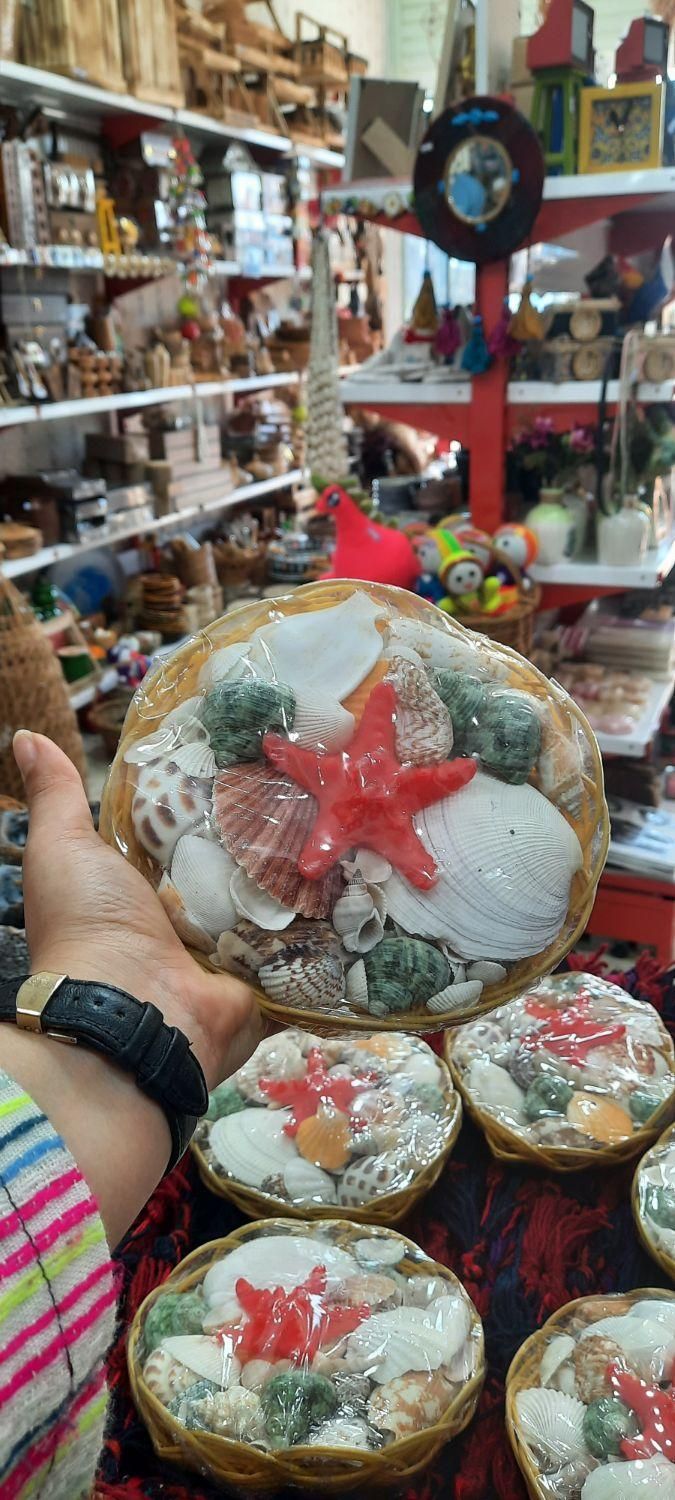 سبد صدف دکوری|صنایع دستی و سایر لوازم تزئینی|رشت, گلباغ نماز|دیوار