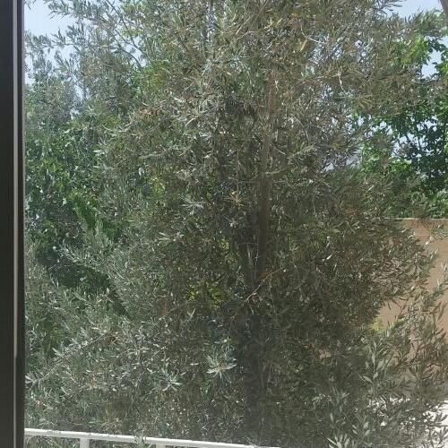 ۳۴۰متر کلنگی ابتدای خیابان آتشگاه ۵روی پیلوت|فروش زمین و ملک کلنگی|اصفهان, ناژوان|دیوار